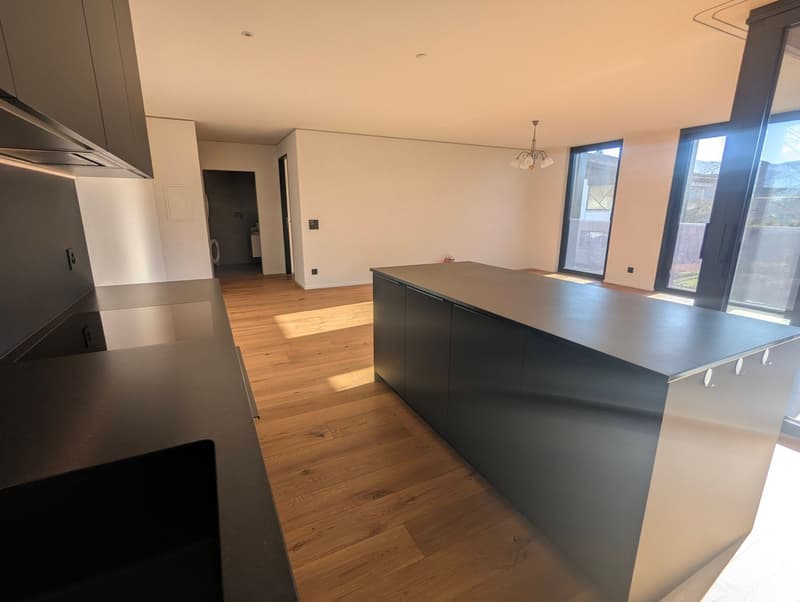 Très bel appartement 2,5 pces de haut standing (6)