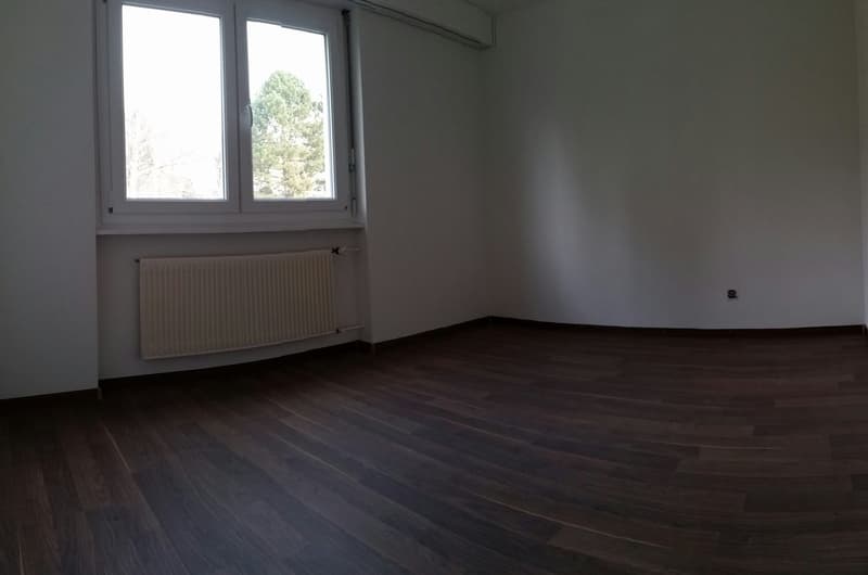 Charmant appartement de 4.5 pièces avec balcon à Delémont (8)