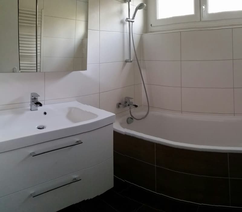 Charmant appartement de 4.5 pièces avec balcon à Delémont (11)