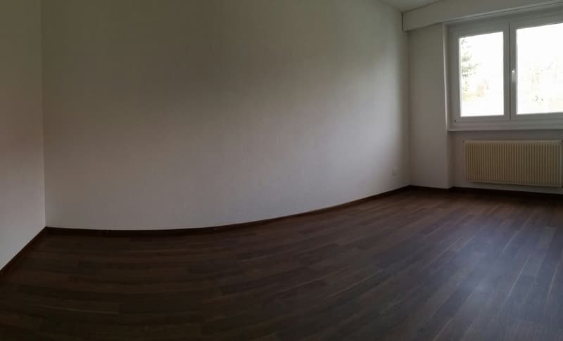 Charmant appartement de 4.5 pièces avec balcon à Delémont (7)