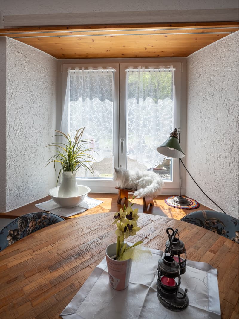 Maison à deux appartements avec garage, abri-réduit et terrasse (17)