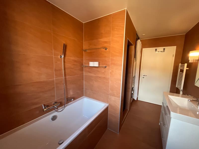 Charmant appartement de 3 pièces au Chemin de la Motte (12)