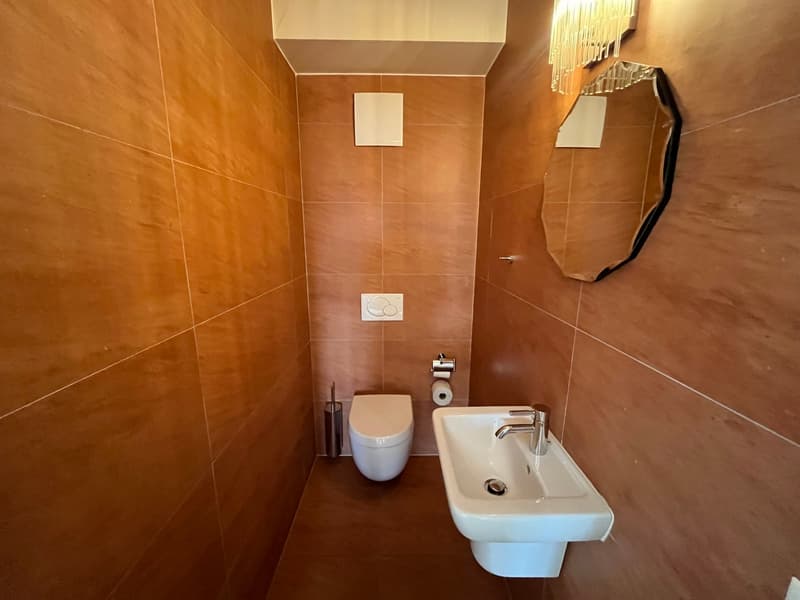 Charmant appartement de 3 pièces au Chemin de la Motte (10)