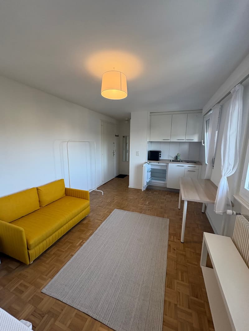 A living room with a wooden floor, yellow couch, and a rug, with a white kitchen and a dining table and sink, and a hallway.