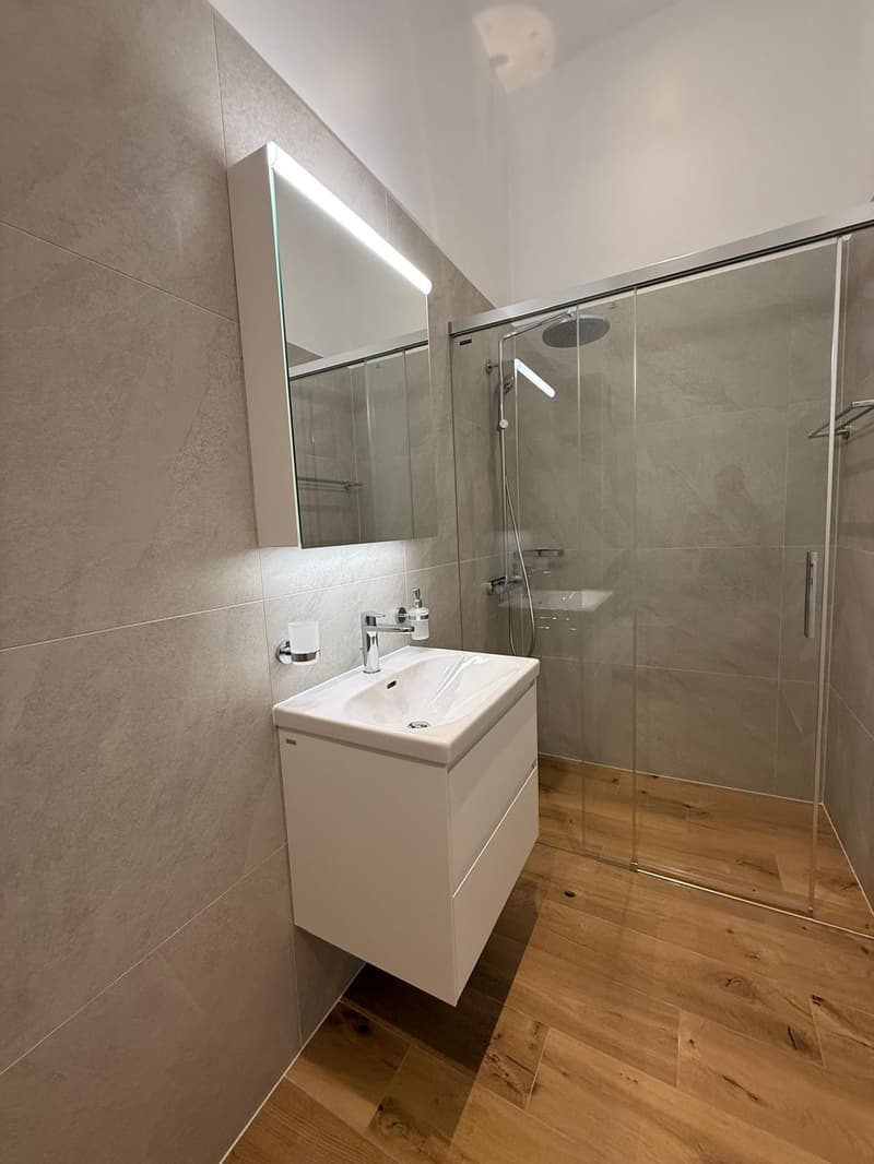 Appartement moderne avec terrasse à 3 min de l'EHL (4)