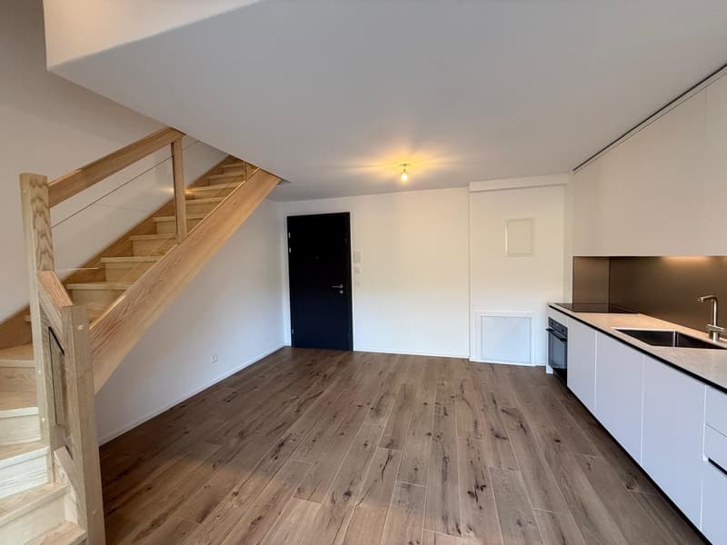 Appartement moderne avec terrasse à 3 min de l'EHL (2)