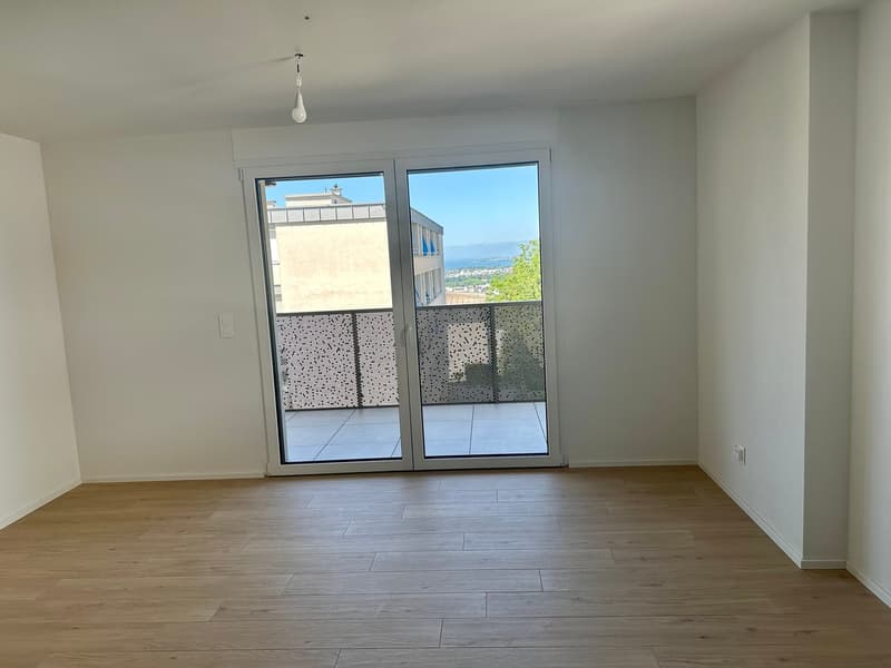 Bel appartement lumineux et moderne avec vue sur le lac (3)