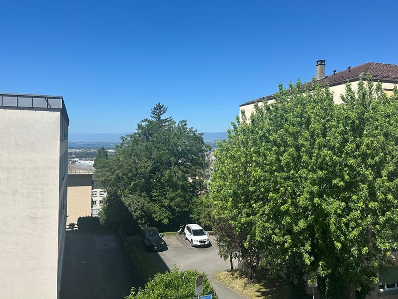 Bel appartement lumineux et moderne avec vue sur le lac (5)
