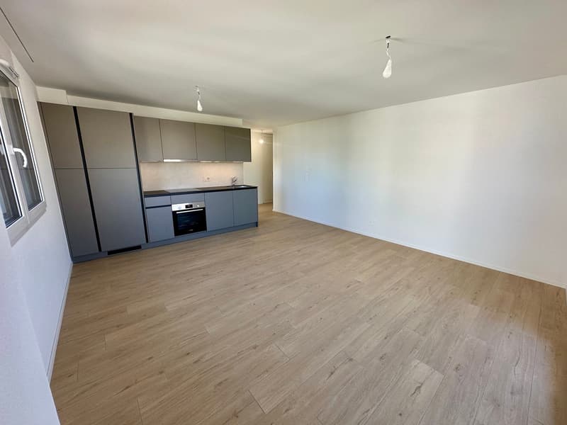 Bel appartement lumineux et moderne avec vue sur le lac (2)