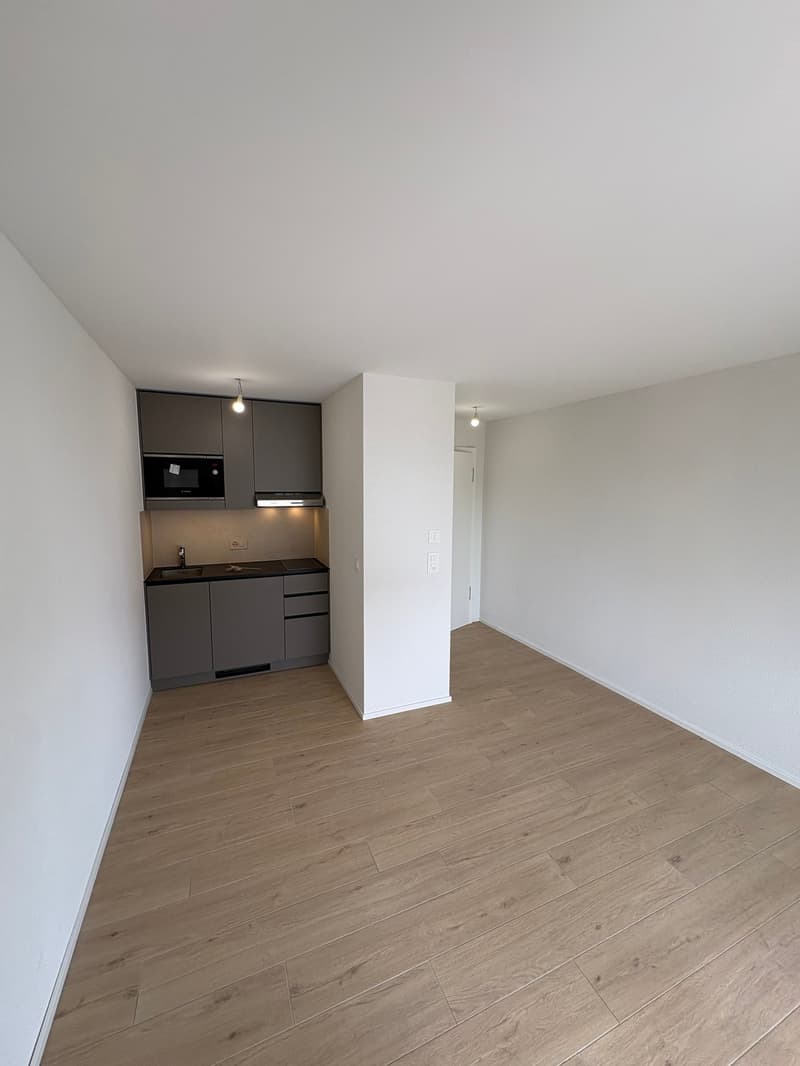 Studio lumineux et moderne (1)