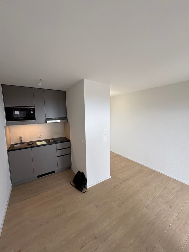Studio lumineux et moderne avec vue sur le lac (2)