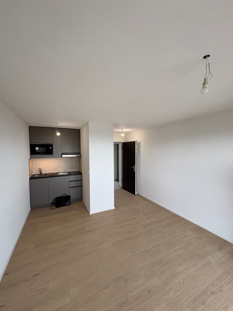 Studio lumineux et moderne avec vue sur le lac (2)