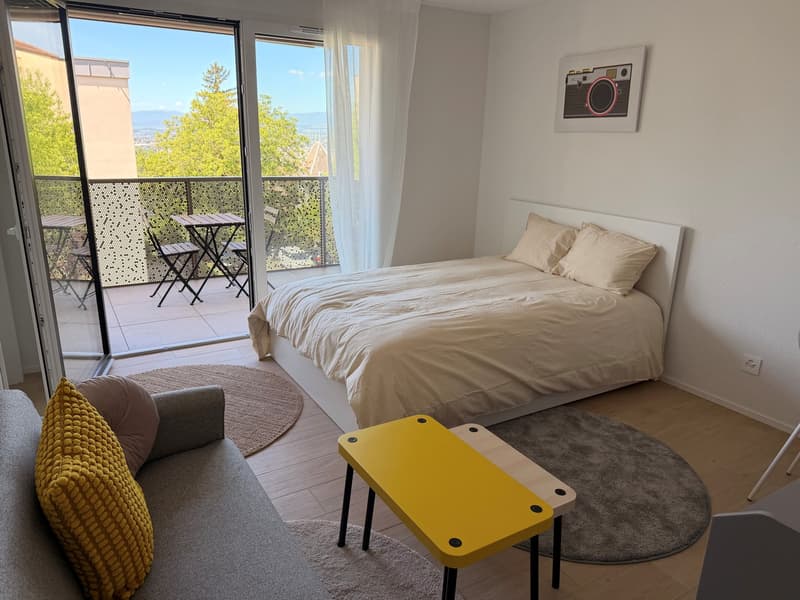 Studio meublé, lumineux et moderne (1)