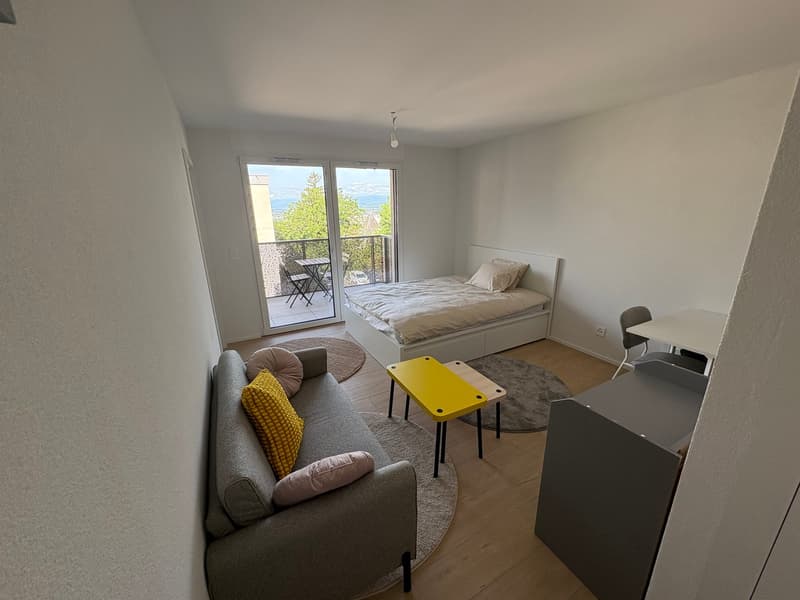 Studio meublé, lumineux et moderne (2)