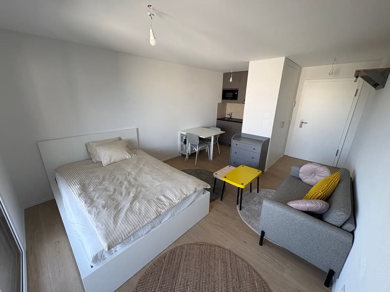 Studio meublé, lumineux et moderne (3)