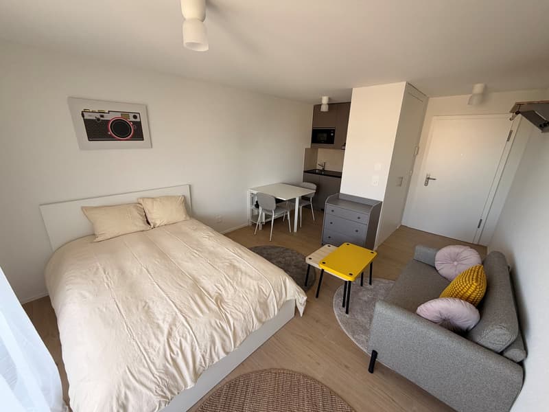 Studio meublé, lumineux et moderne (2)
