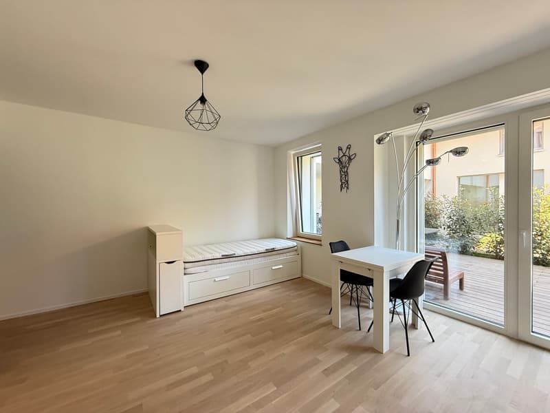 Studio meublé avec terrasse et place de parc (3)