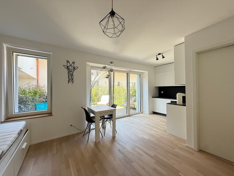 Studio meublé avec terrasse et place de parc (2)