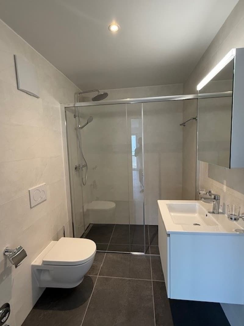 Moderne 3 pièces dans les hauts de Lausanne (8)