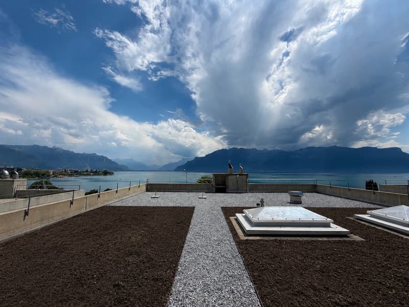 Villa contemporaine avec vue panoramique sur le lac – 176 m² habitables (10)