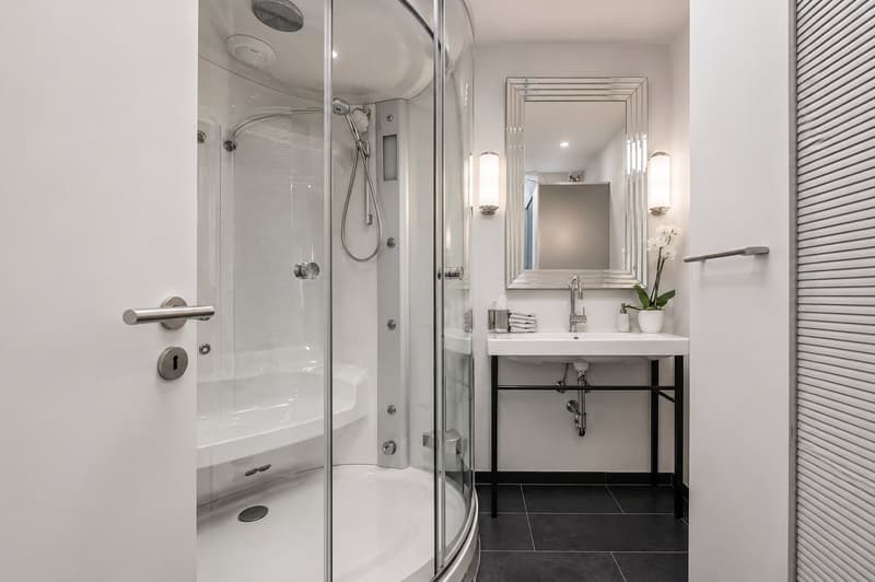 Unique dans les hauts de Vevey / villa luxueuse pour un confort maximal dans un cadre idyllique (6)
