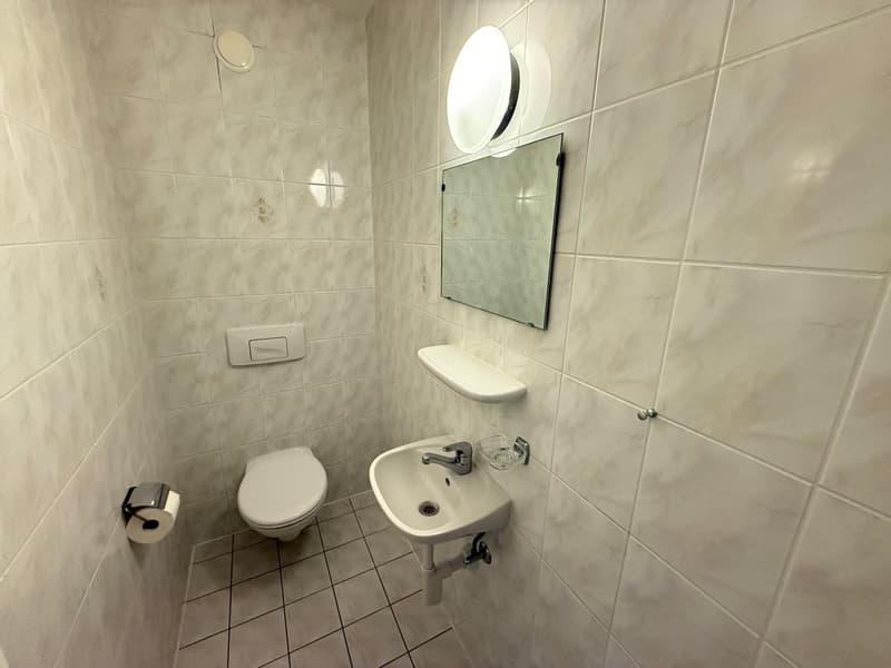 Très grand duplex de 6 pièces avec vue lac (11)