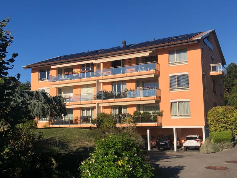 Spacieux duplex de 6 pièces à Saint-Sulpice (à 500m de l'EPFL) (1)