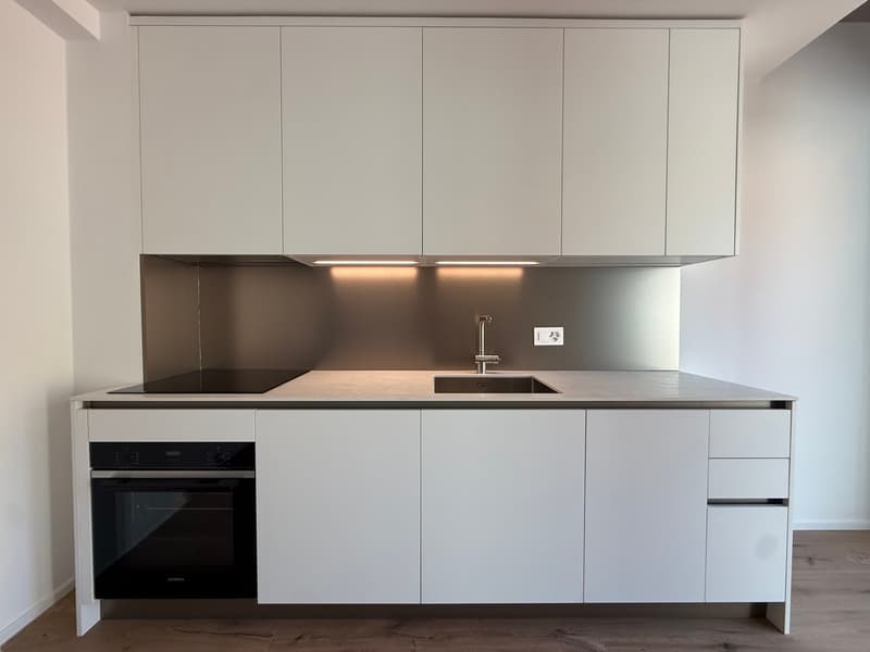 Charmant duplex de 2 pièces avec grande terrasse (3)