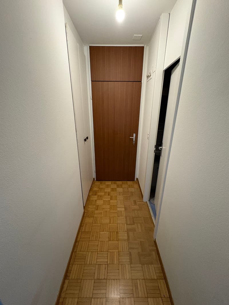 Charmant studio de 22m² à Lausanne - calme et ensoleillé (3)