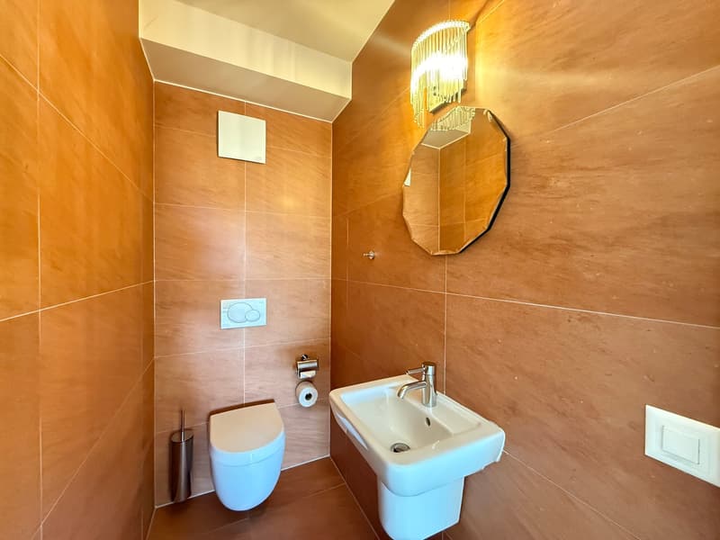 Très grand 3.5 pièces avec balcon ! (11)