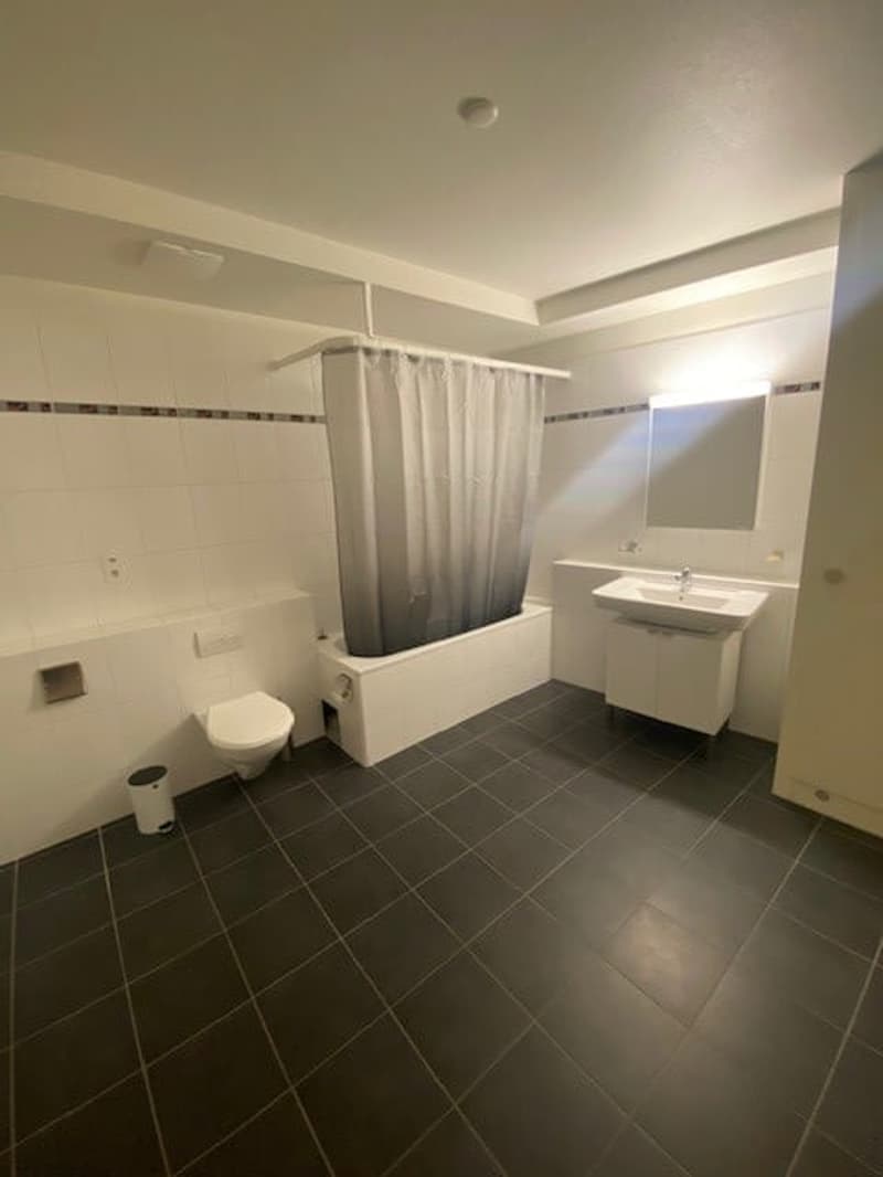 Appartement meublé de 3 pièces à louer à Leysin (4)
