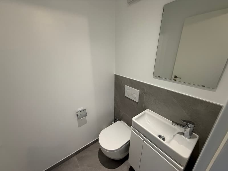 Charmant duplex de 2 pièces meublé (7)