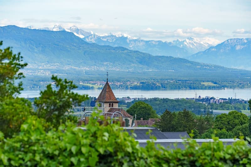 Genolier — Elegant Apartment with Lake and Alps Views (9)