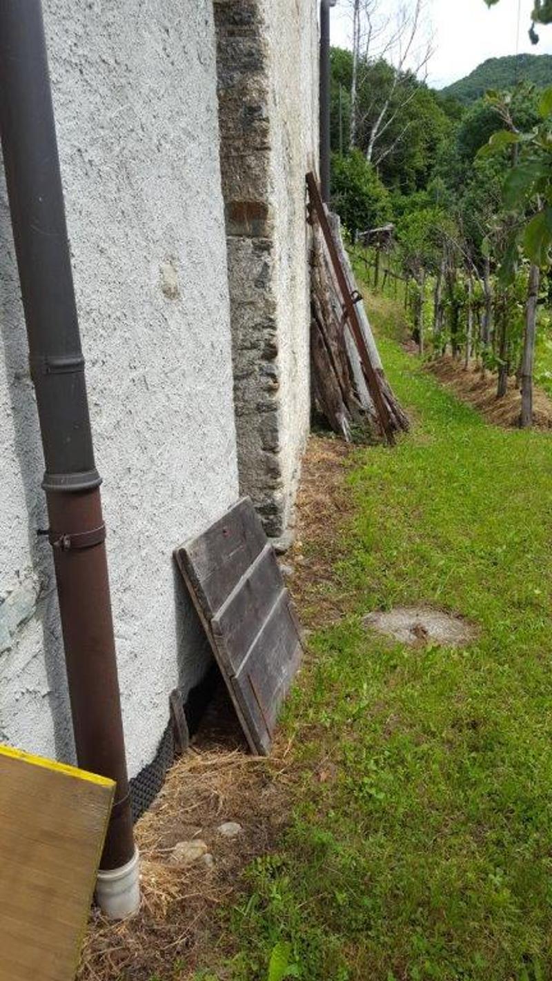 A vendre de particuliers Rustico à Boscaccio Hameau de Medeglia (6)