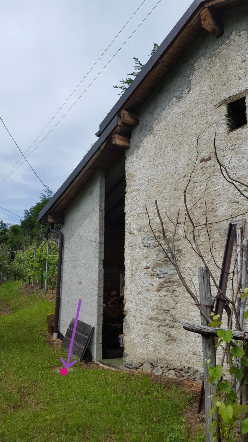 A vendre de particuliers Rustico à Boscaccio Hameau de Medeglia (11)