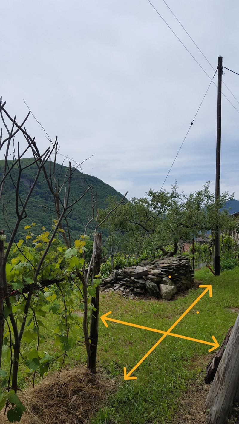A vendre de particuliers Rustico à Boscaccio Hameau de Medeglia (21)