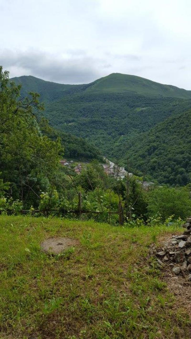 A vendre de particuliers Rustico à Boscaccio Hameau de Medeglia (2)