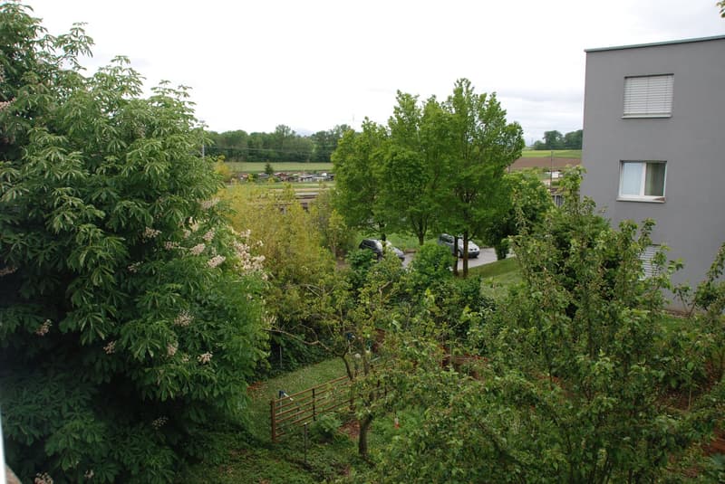 Appartement rénové de 3,5 pièces avec balcon à Cornaux (19)