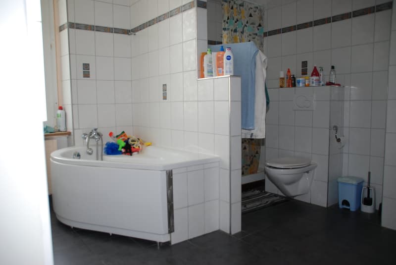 Immeuble Locatif à Peseux de 3 appartements, local commercial et garages (19)