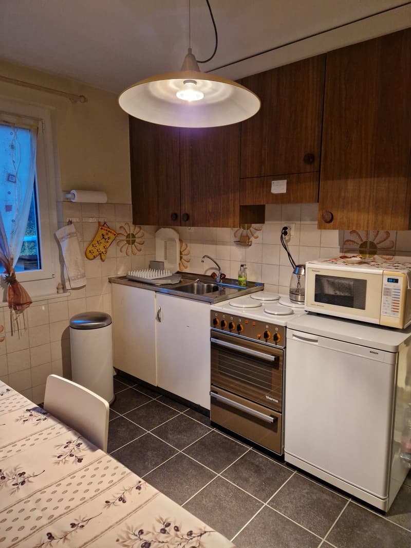 Objet Unique - maison individuelle de 5 pièces à Monteceneri (10)