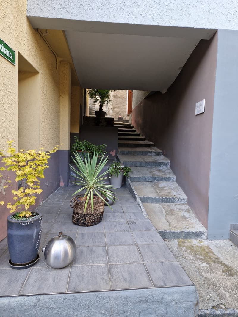 Objet Unique - maison individuelle de 5 pièces à Monteceneri (3)