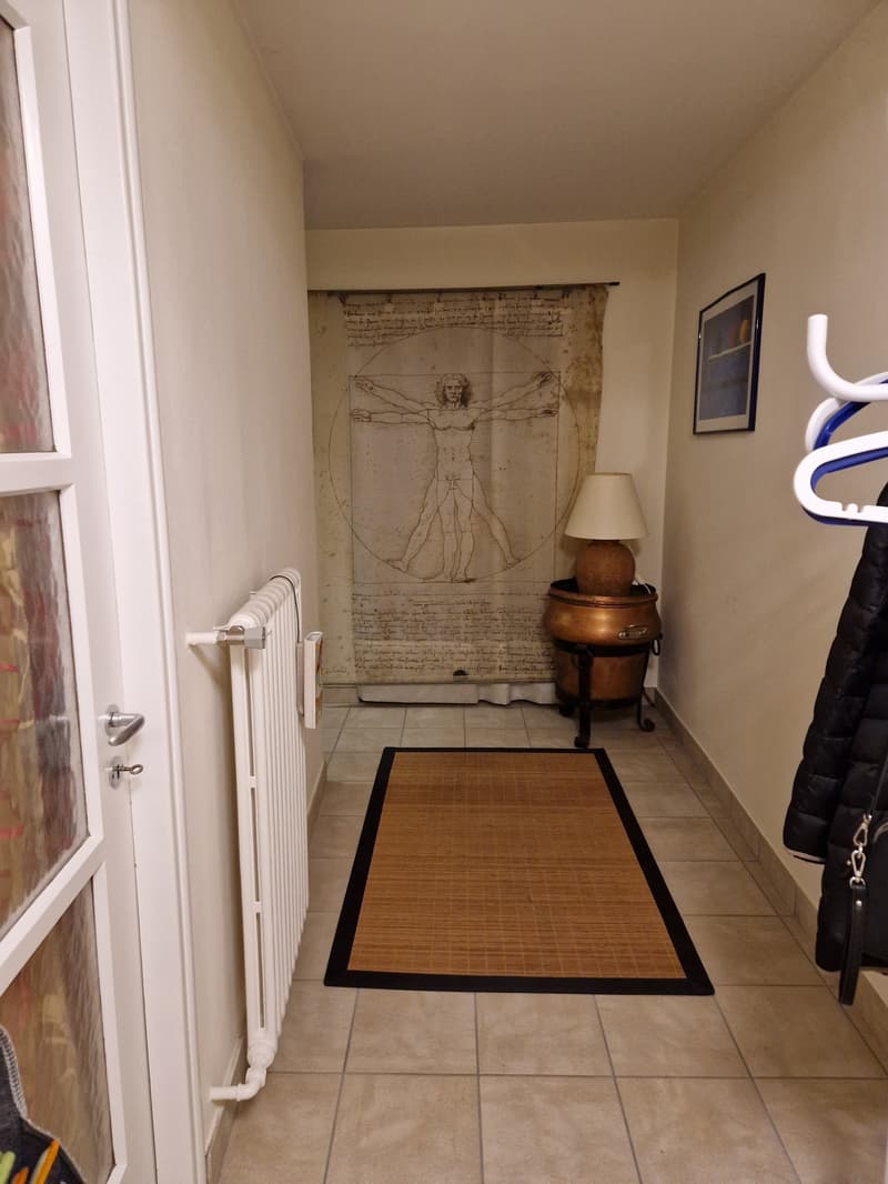 Objet Unique - maison individuelle de 5 pièces à Monteceneri (9)