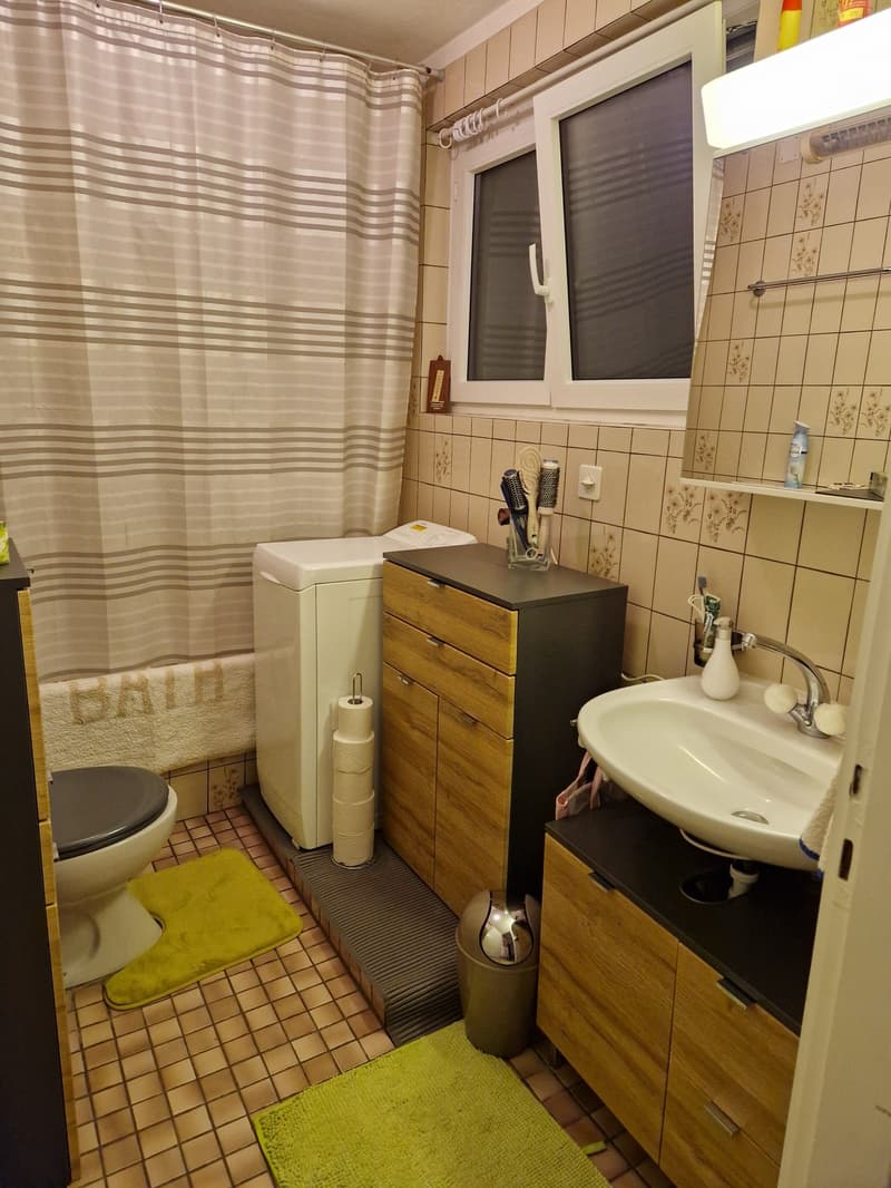 Objet Unique - maison individuelle de 5 pièces à Monteceneri (21)