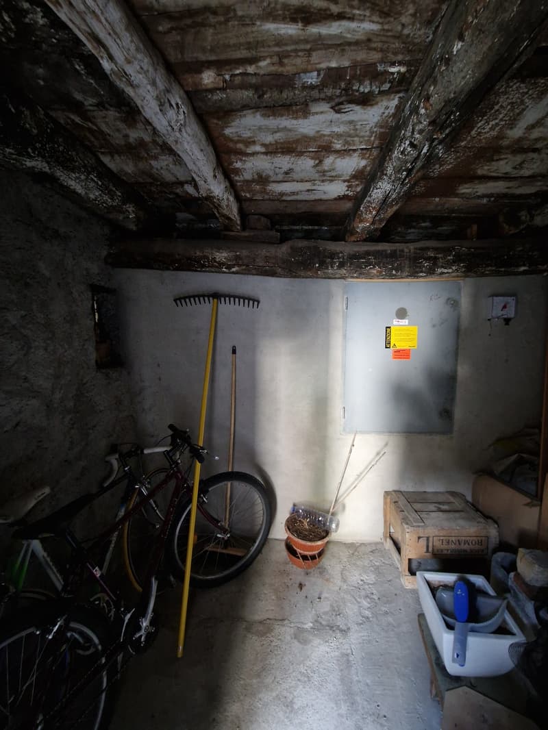 Objet Unique - maison individuelle de 5 pièces à Monteceneri (5)