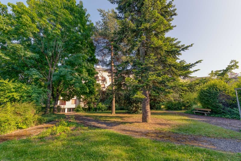 Parc de la copropriété