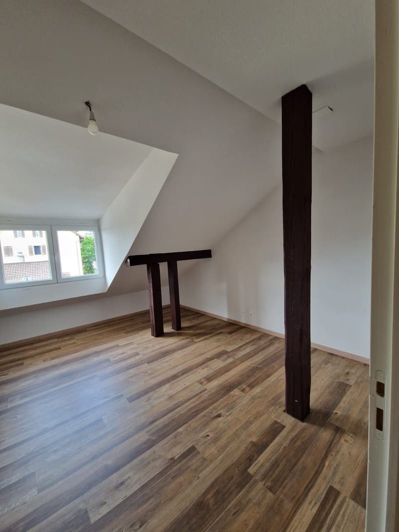 Sublime Appartement de 4.5 pièces à louer (3)