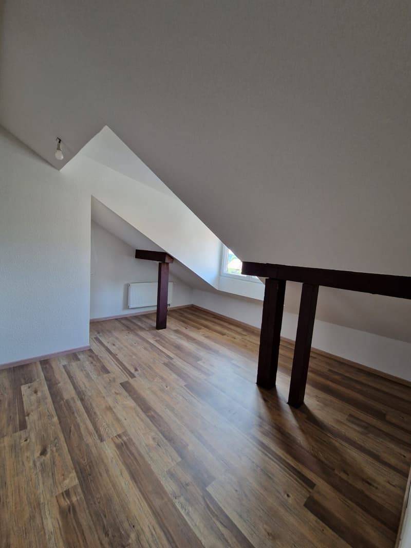 Sublime Appartement de 4.5 pièces à louer (2)