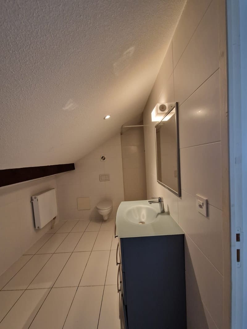 Sublime Appartement de 4.5 pièces à louer (10)