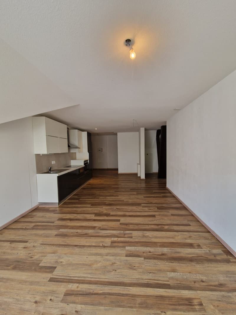 Sublime Appartement de 4.5 pièces à louer (12)