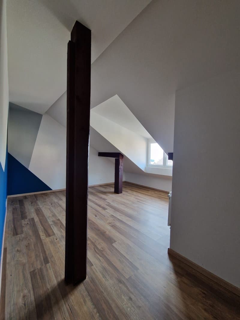 Sublime Appartement de 4.5 pièces à louer (4)